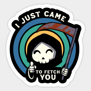 I Just Came To Fetch You Sticker